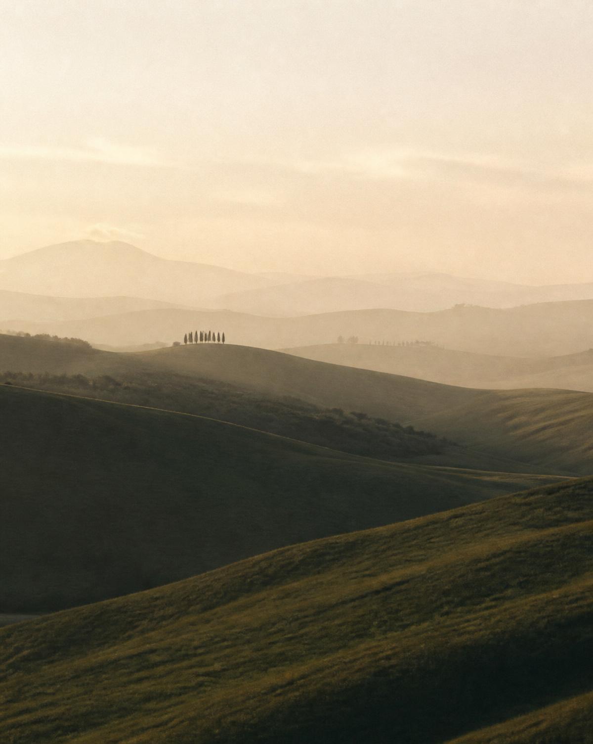 Soft rolling hills at golden hour, evoking clarity and calm